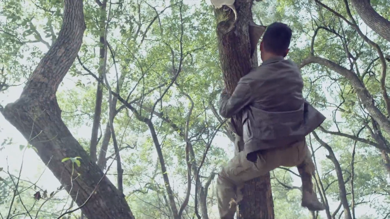 01. ����.mp4_1682933071028.png